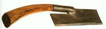 Doloire 75cm2.jpg (39048 octets)